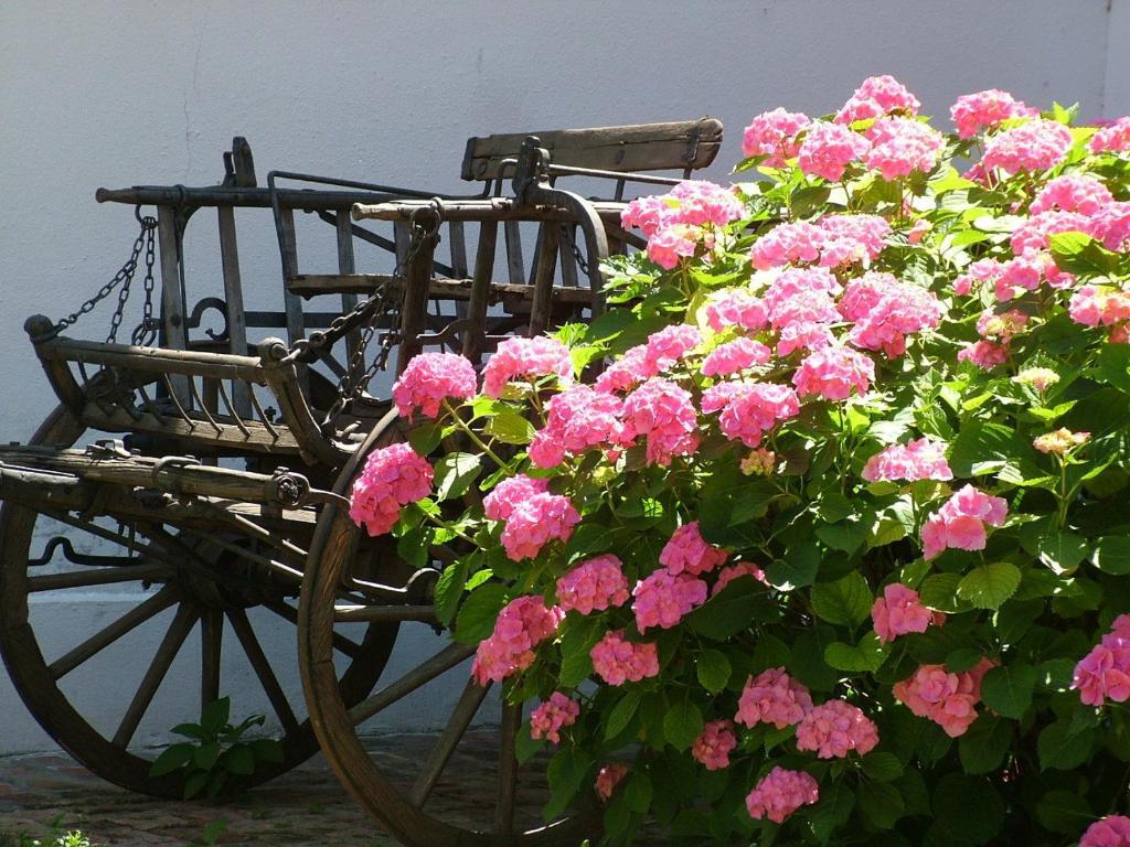 Hajos-Haz Apartment Szeged Ngoại thất bức ảnh